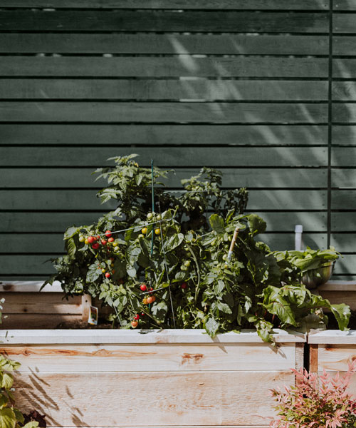 Green Column Inspiration